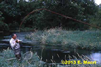 Vince Marinaro Landing a Trout on the Letort