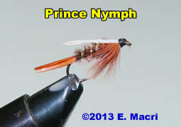Prince Nymph A good attractor pattern from www.nymphflyfishing.com